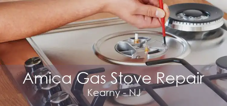 Amica Gas Stove Repair Kearny - NJ