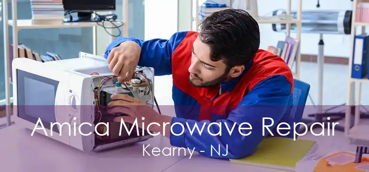 Amica Microwave Repair Kearny - NJ