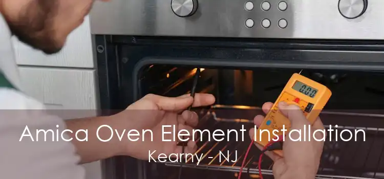 Amica Oven Element Installation Kearny - NJ