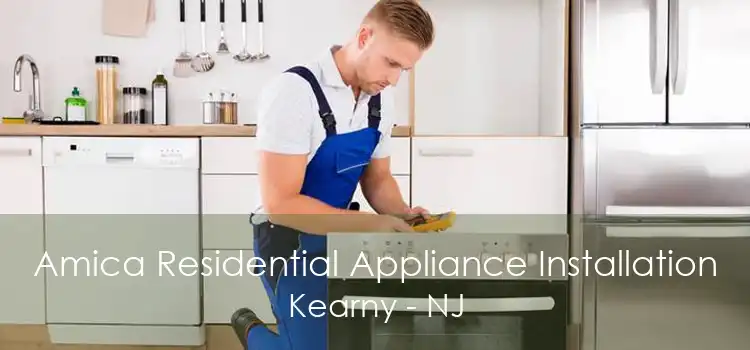 Amica Residential Appliance Installation Kearny - NJ