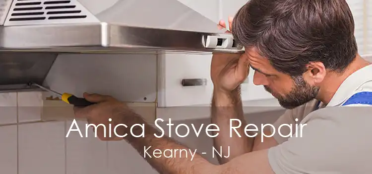 Amica Stove Repair Kearny - NJ