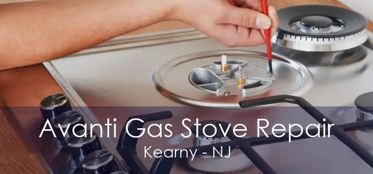 Avanti Gas Stove Repair Kearny - NJ