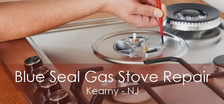 Blue Seal Gas Stove Repair Kearny - NJ