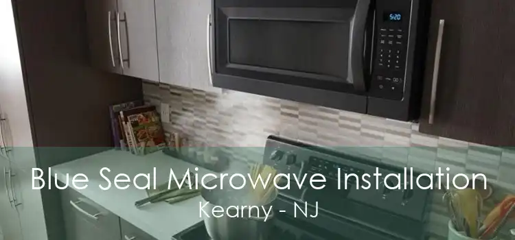 Blue Seal Microwave Installation Kearny - NJ