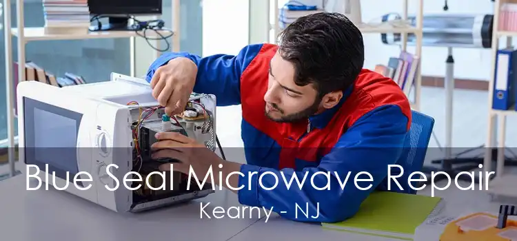 Blue Seal Microwave Repair Kearny - NJ