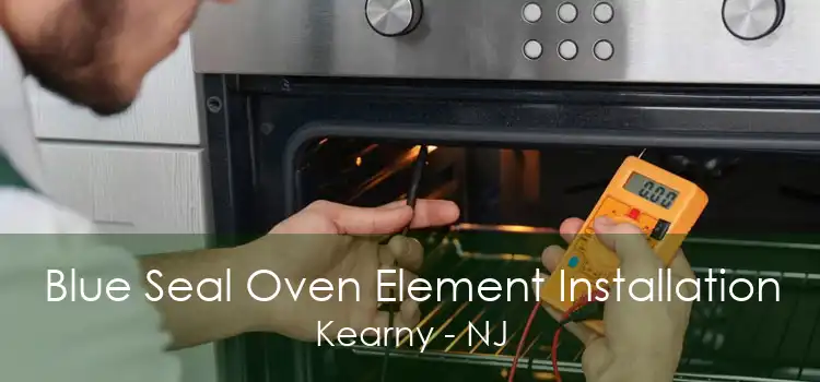 Blue Seal Oven Element Installation Kearny - NJ