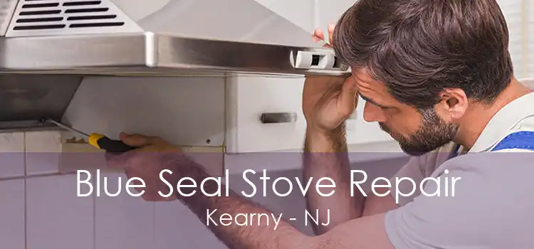 Blue Seal Stove Repair Kearny - NJ