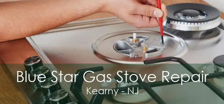 Blue Star Gas Stove Repair Kearny - NJ