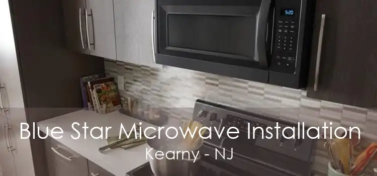 Blue Star Microwave Installation Kearny - NJ