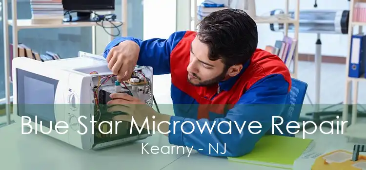 Blue Star Microwave Repair Kearny - NJ