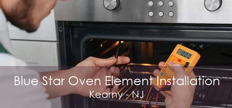 Blue Star Oven Element Installation Kearny - NJ