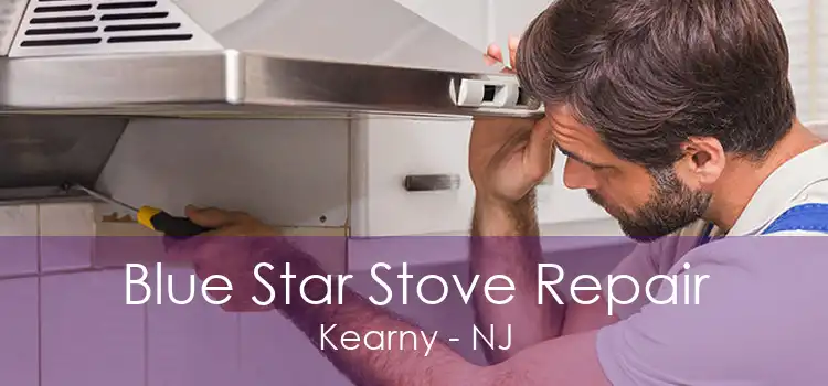 Blue Star Stove Repair Kearny - NJ