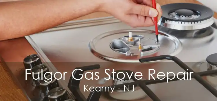 Fulgor Gas Stove Repair Kearny - NJ