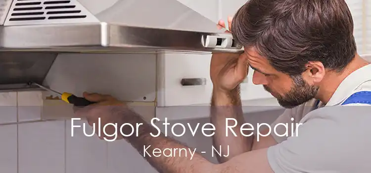 Fulgor Stove Repair Kearny - NJ