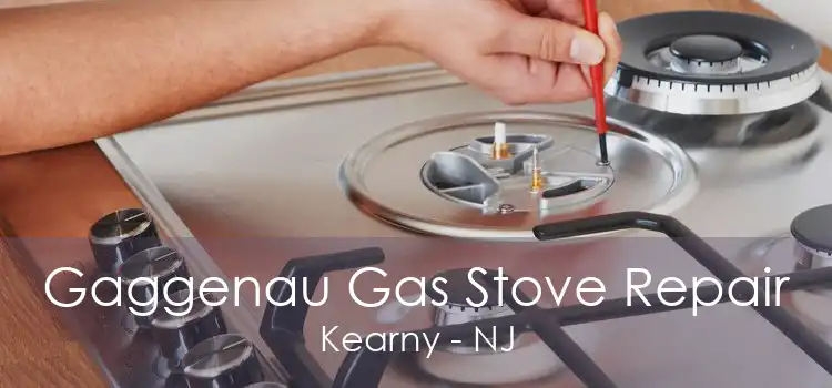 Gaggenau Gas Stove Repair Kearny - NJ