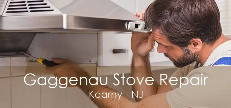 Gaggenau Stove Repair Kearny - NJ