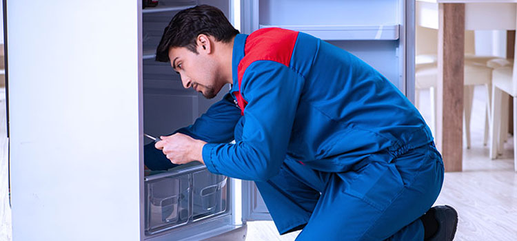 Freezer Repair Services in Kearny, New Jersey