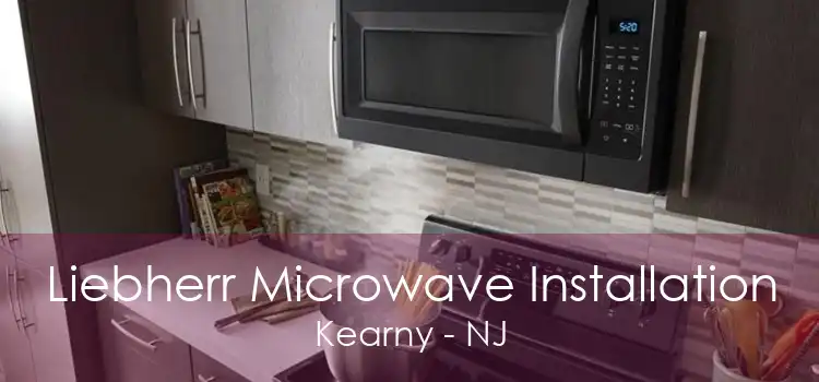 Liebherr Microwave Installation Kearny - NJ