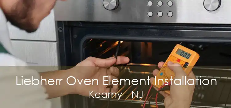 Liebherr Oven Element Installation Kearny - NJ