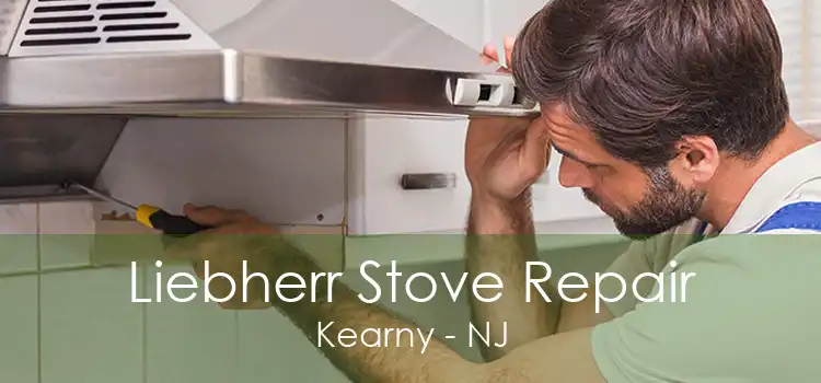 Liebherr Stove Repair Kearny - NJ