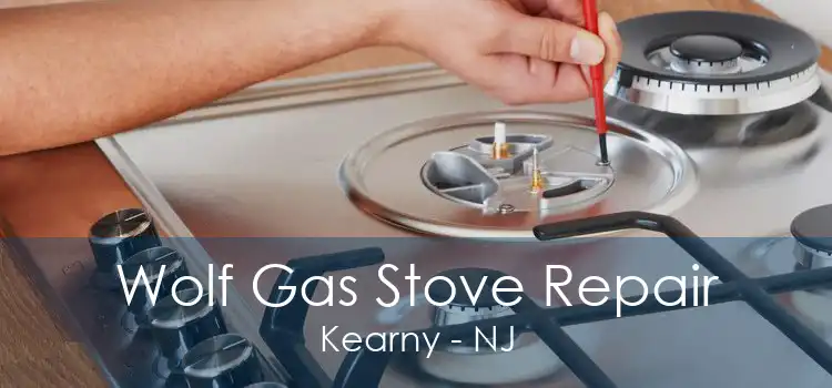 Wolf Gas Stove Repair Kearny - NJ