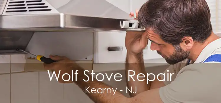 Wolf Stove Repair Kearny - NJ